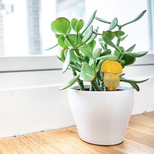 Arroseur autonome écologique personnalisé