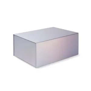 Boîte Solvia | Argent