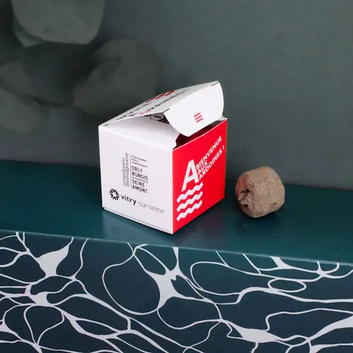 Bombe à graines en boîte