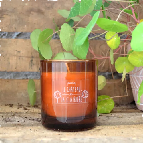 Bougie cire végétale