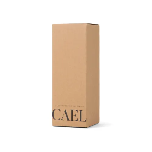 Bouteille Isotherme 600ml Cael en acier RCS - Vinga