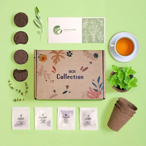 Box collection tisane