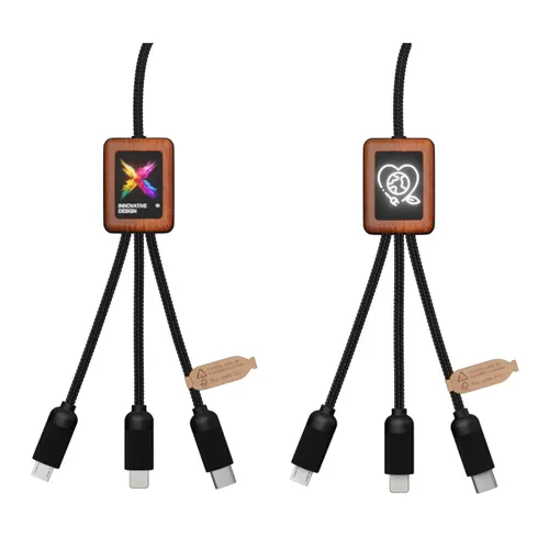 C38 - Câble éco 5-en-1 40W personnalisé