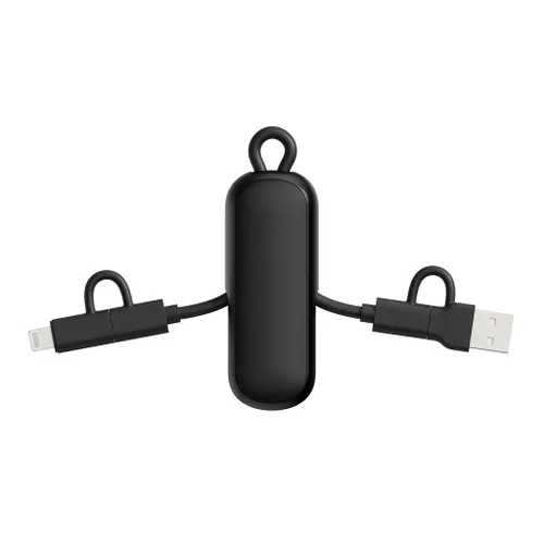 Câble 100W porte-clés 4-en-1 Urban Vitamin Dublin - Urban Vitamin