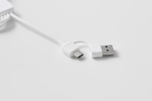 Câble de 2 en 1 de type C personnalisé - Icab