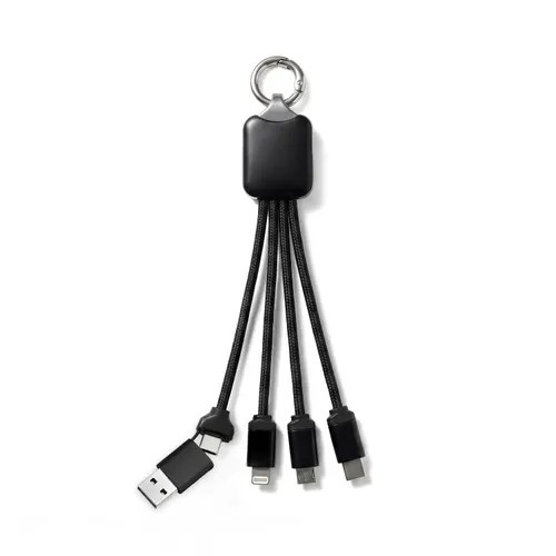 Câble de Charge Wizo