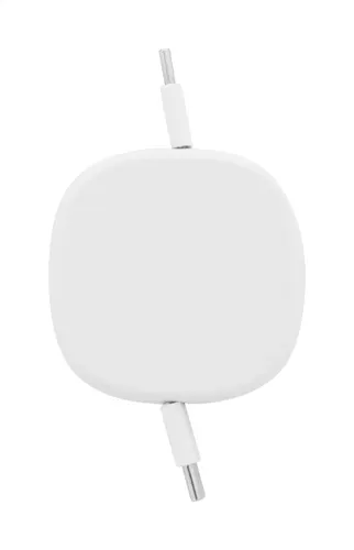 Câble de chargement USB-C personnalisé RABS 60 W - Cabsle