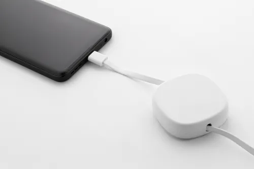 Câble de chargement USB-C personnalisé RABS 60 W - Cabsle