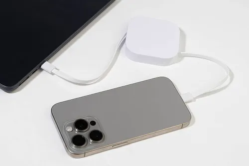 Câble USB-C RABS 60 W - Hobsle