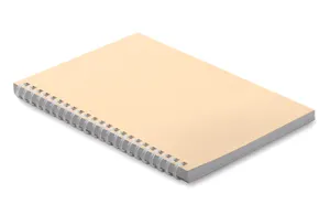 Cahier A5 en carton recyclé - Recarnote | Beige