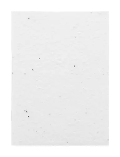 Carnet de notes personnalisé publicitaire en papier ensemencé - CreaNote A6 Seed