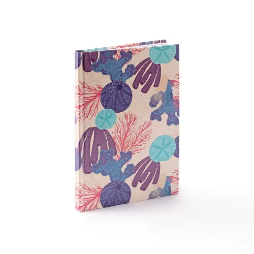 Carnet Gabirri Express