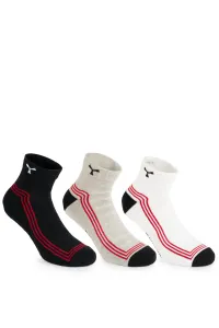 Chaussette à la cheville - ROGER