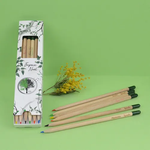 Coffret 6 crayons à graines couleur