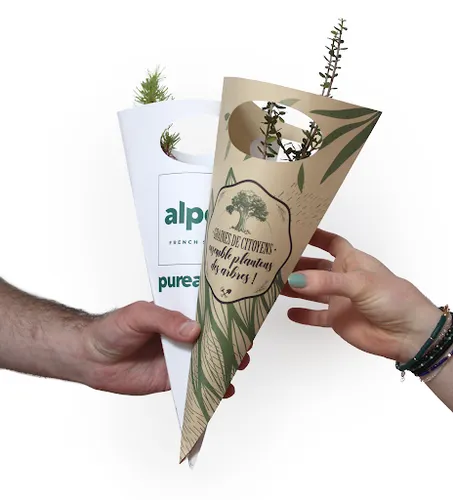 Cornet arbre - Résineux