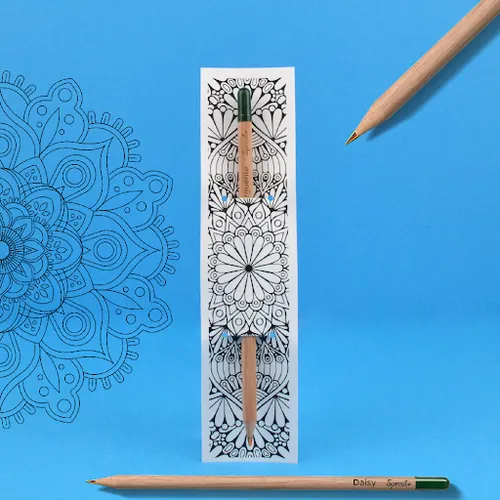 Crayon à graines mine multicolore