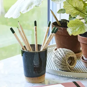 Crayon à graines seul