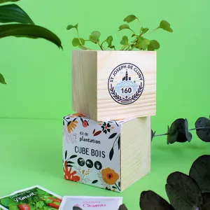 Cube bois Graines
