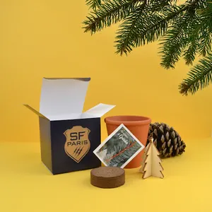 Cube plantation Ø10 cm