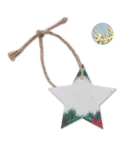 Décoration en papier semences personnalisée - Starseed