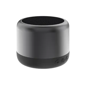 Enceinte 3W avec batterie amovible Peblo RCS - XD Xclusive | Gris