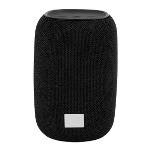 Enceinte sans fil en RABS - CaraBeat