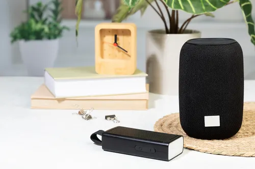 Enceinte sans fil en RABS - MagBeat