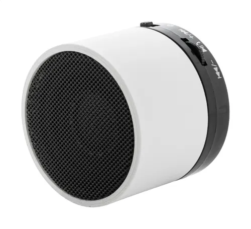 Enceinte sans fil personnalisée RABS - Colofi
