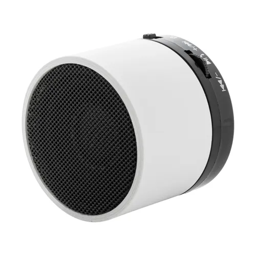 Enceinte sans fil RABS - Colofi