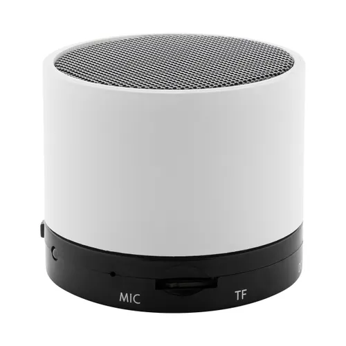 Enceinte sans fil RABS - Colofi
