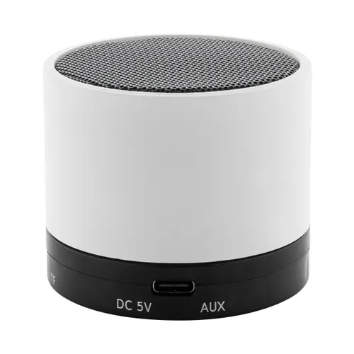 Enceinte sans fil RABS - Colofi