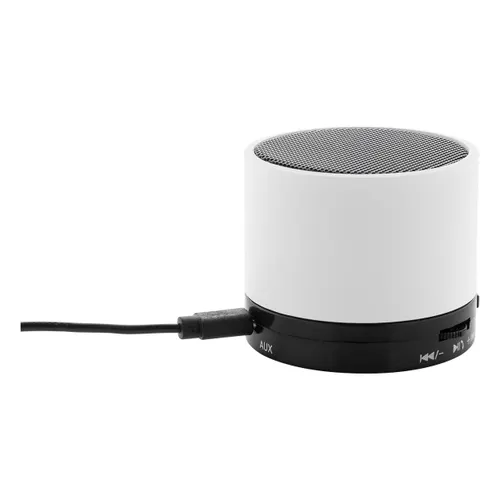Enceinte sans fil RABS - Colofi