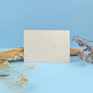 Enveloppe papier graines 162x114mm neutre