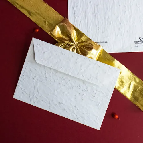 Enveloppe papier graines 162x114mm