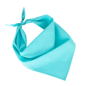 Fiesta - Bandana - K-up | Calypso Blue