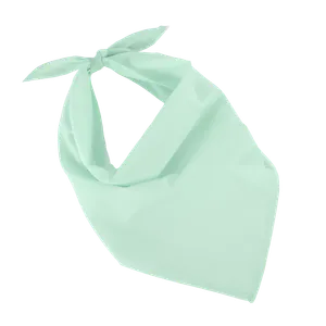 Fiesta - Bandana - K-up | Frost Green