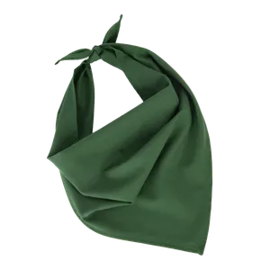 Fiesta - Bandana - K-up | Pasture Green