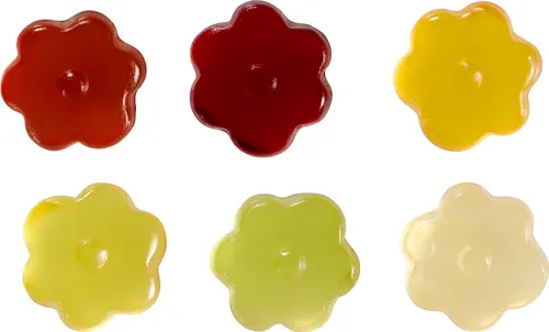 Fleur en gommes de fruits 10g