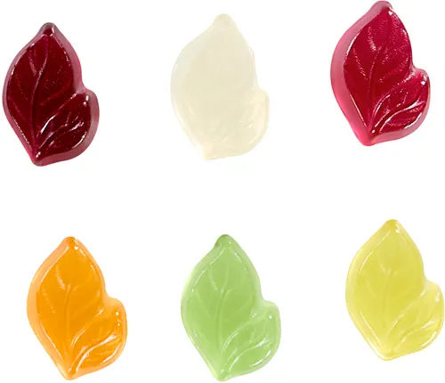 Gommes de fruits feuille 10g