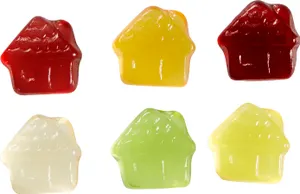 Gommes de fruits maison VEGAN 10g