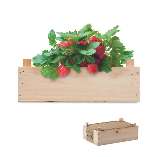 Graines de fraises dans une cai - Strawberry personnalisable