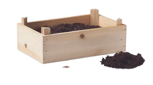 Graines de fraises dans une cai - Strawberry personnalisable