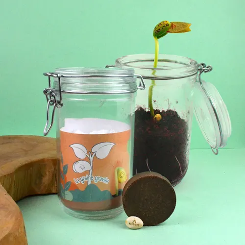 Graines gravée en bocal