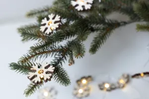 Guirlande lumineuse de Noël personnalisée - Polaris