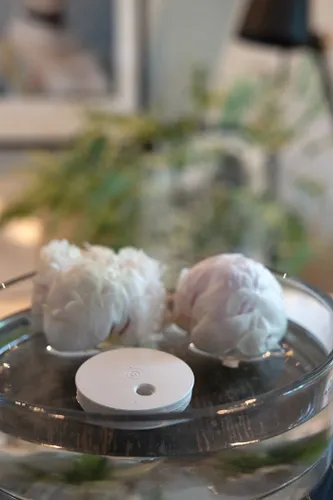 Humidificateur flottant en ABS RCS Breevia - XD Collection