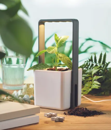 Jardin intérieur éclairage LED personnalisé - Lushlet