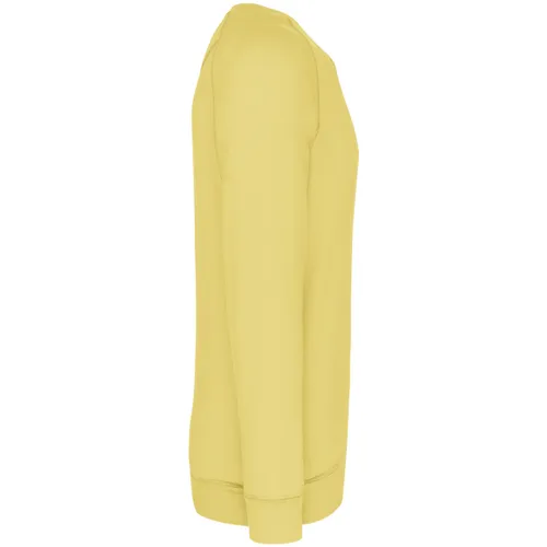 Sweat-shirt Bio col rond manches raglan homme - Kariban