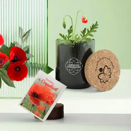 Kit bouteille recyclée