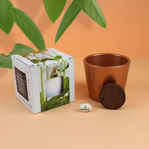 Kit de plantation graine gravée