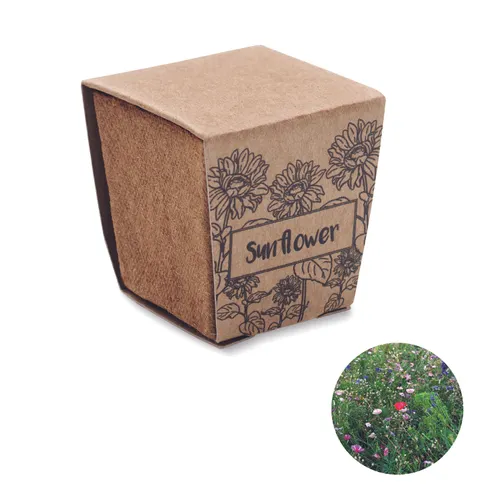 Kit de tournesol - Sunflower Kit